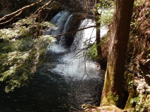 Sycamore Falls