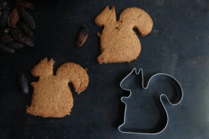 The squirrel cookie from my dream. Yes, there are dozens of squirrel cookie photos on the internet.