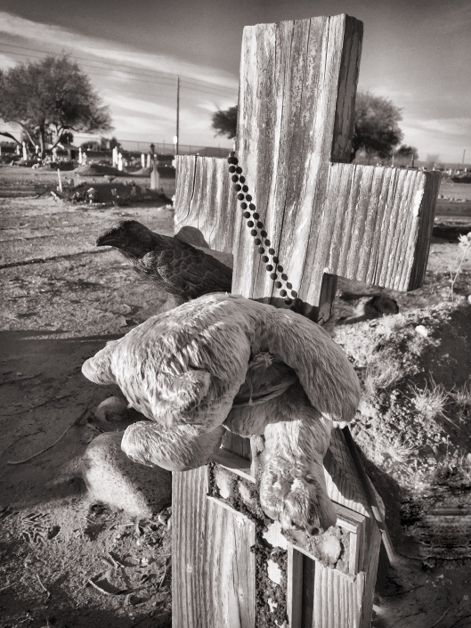 Nevermore at Lehi Cemetery in Mesa, Arizona